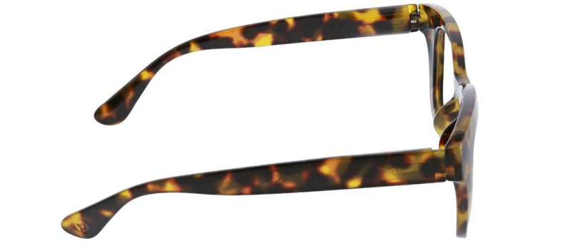 Peepers Progressives - Center Stage - Tortoise