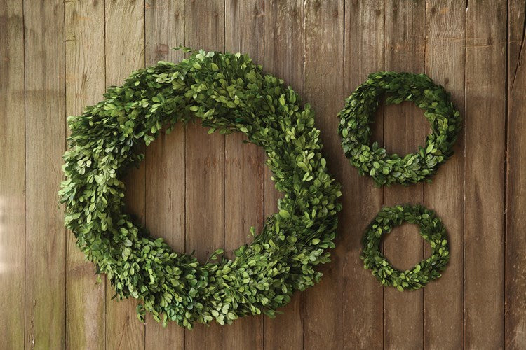 Creative Co-op 6" Round Preserved Boxwood Wreath
