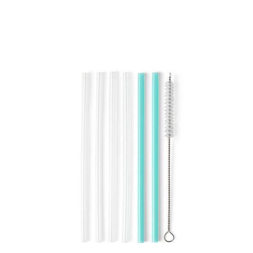 Swig Life Clear & Aqua Reusable Straw Set (Short)