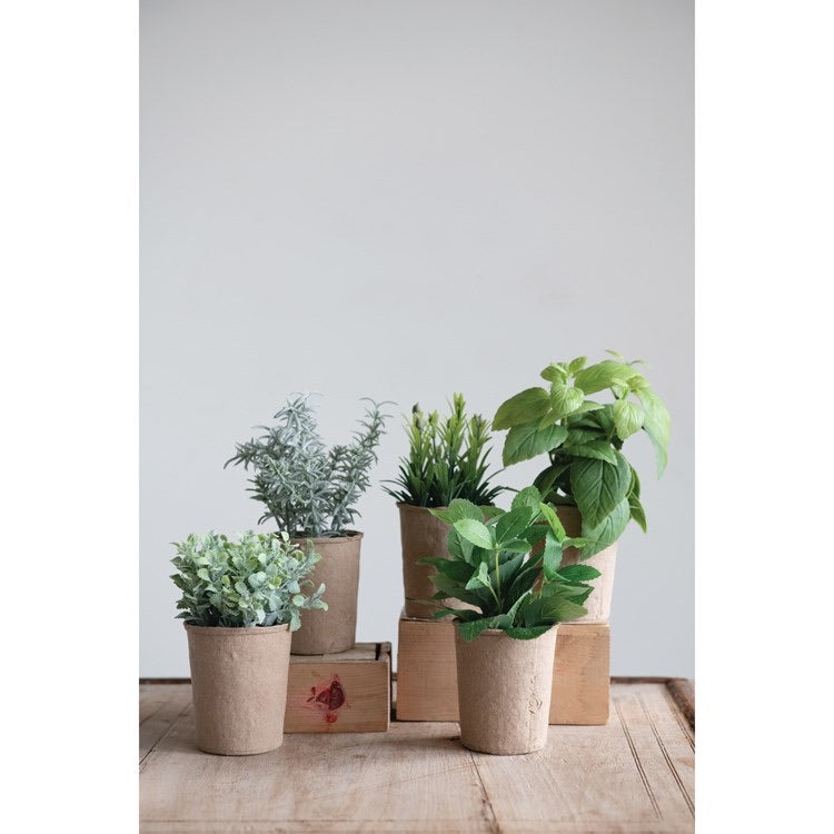 Creative Co-Op  7.5"H Faux Herb in Paper Pot, 5 different Styles