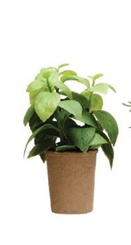 Creative Co-Op  7.5"H Faux Herb in Paper Pot, 5 different Styles