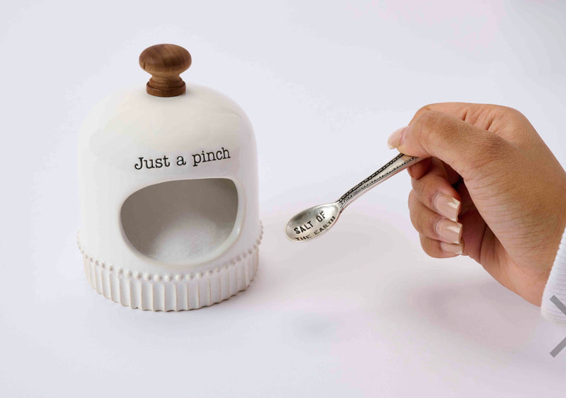 Mud Pie Just A Pinch Salt Cellar Set