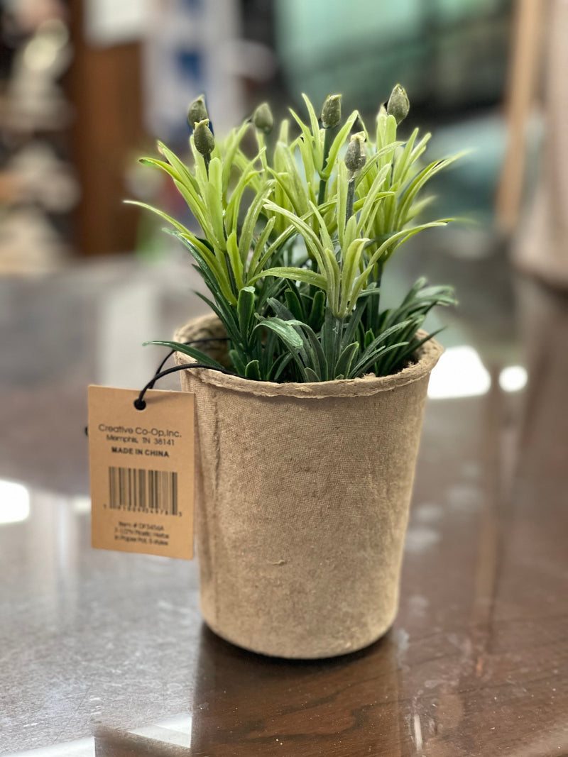 Creative Co-Op  7.5"H Faux Herb in Paper Pot, 5 different Styles