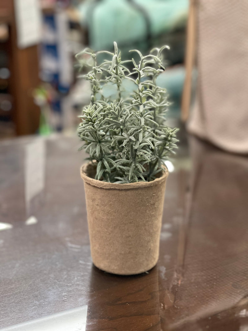 Creative Co-Op  7.5"H Faux Herb in Paper Pot, 5 different Styles