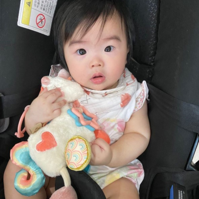 Itzy Ritzy - Itzy Friends Link & Love™ Activity Plush with Teether Toy