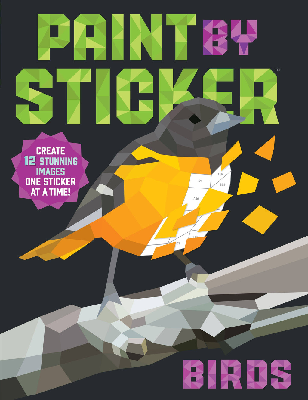 Hachette Book Group - Paint by Sticker: Birds