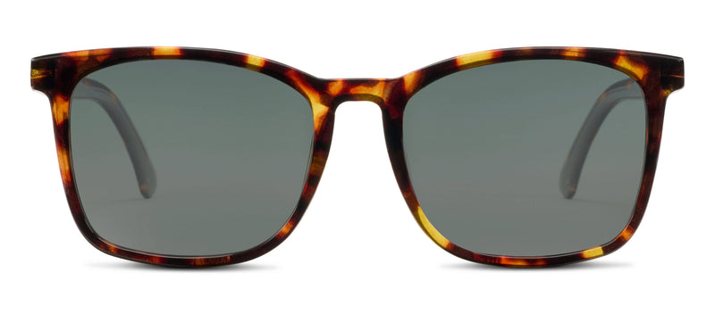 Peepers - Mateo (Sunglasses)