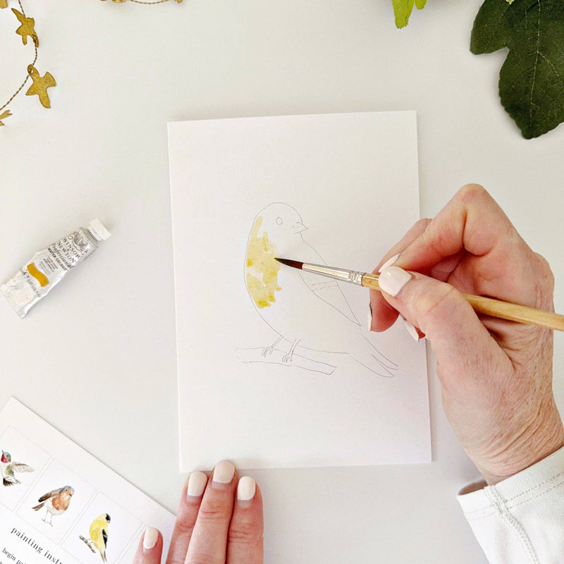 emily lex studio - Backyard birds paintable notecards