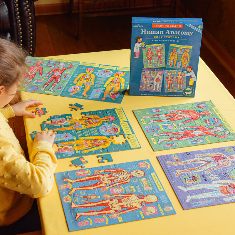 eeBoo - Ready to Learn - Human Anatomy 4 Puzzle 48 Piece Set