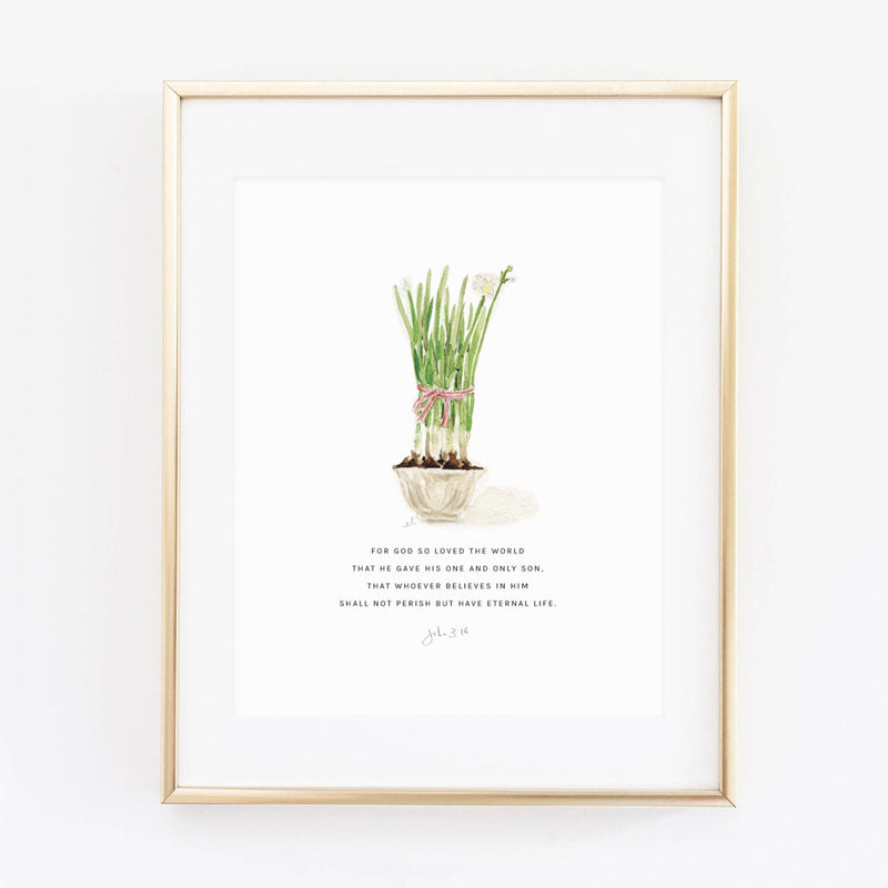 emily lex studio - John 3:16 paperwhites scripture print