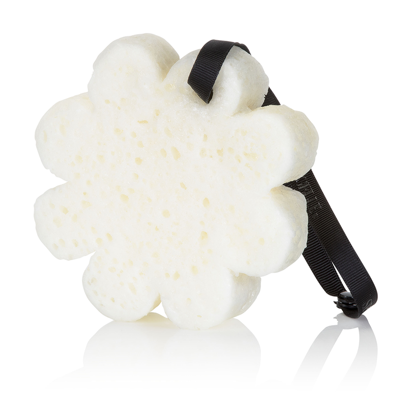 Spongellé - Black Orchid Boxed Flower