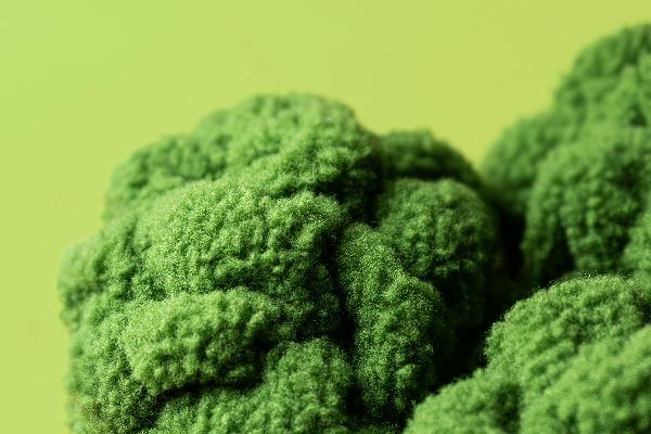 Jellycat Amuseables Broccoli Plush