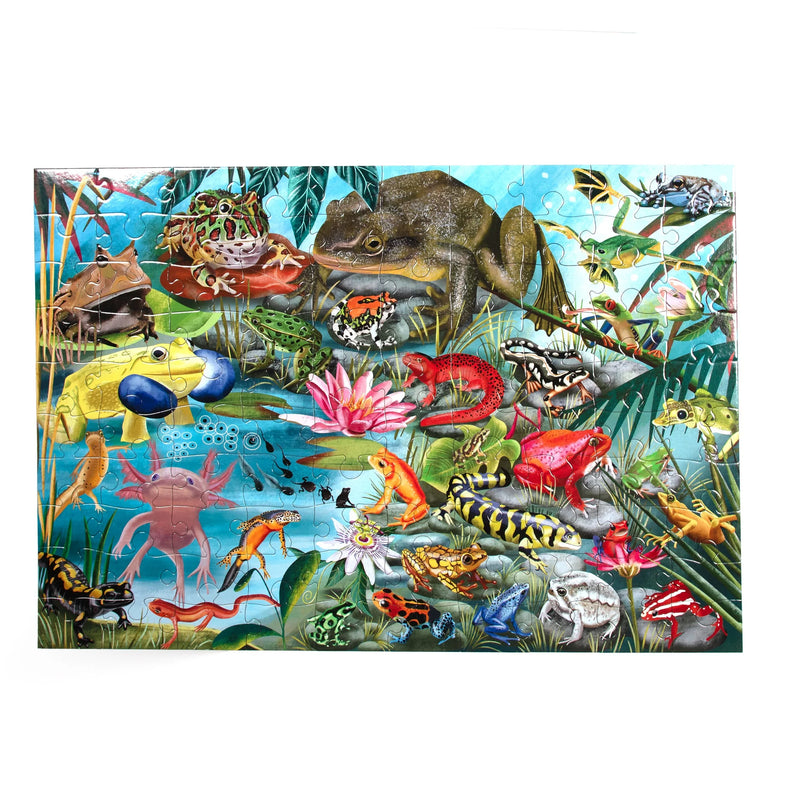 eeBoo - Love of Amphibians 100 Piece Puzzle