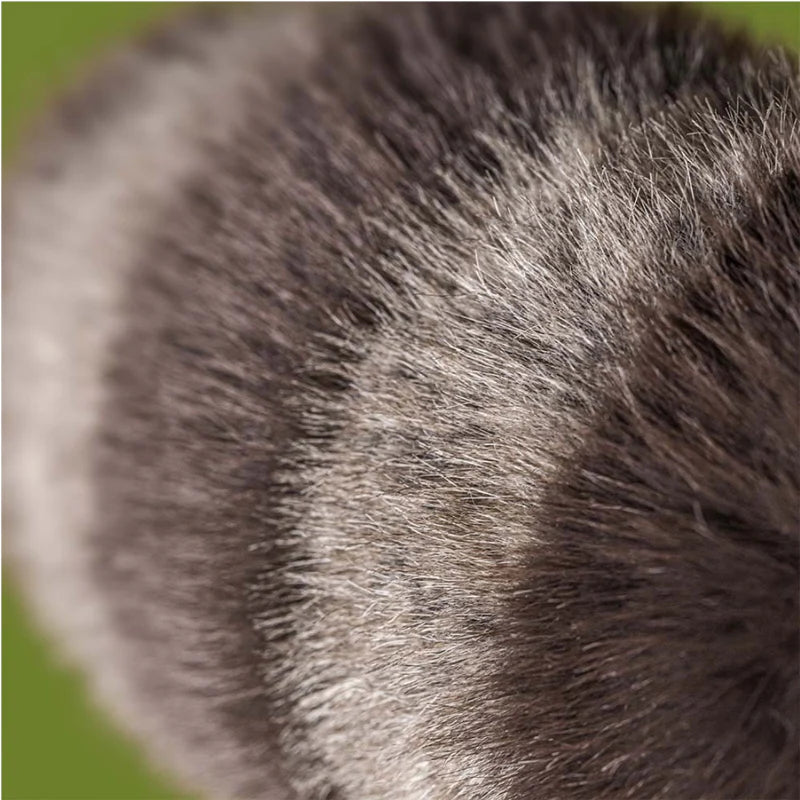 Jellycat Trixiwoo Raccoon