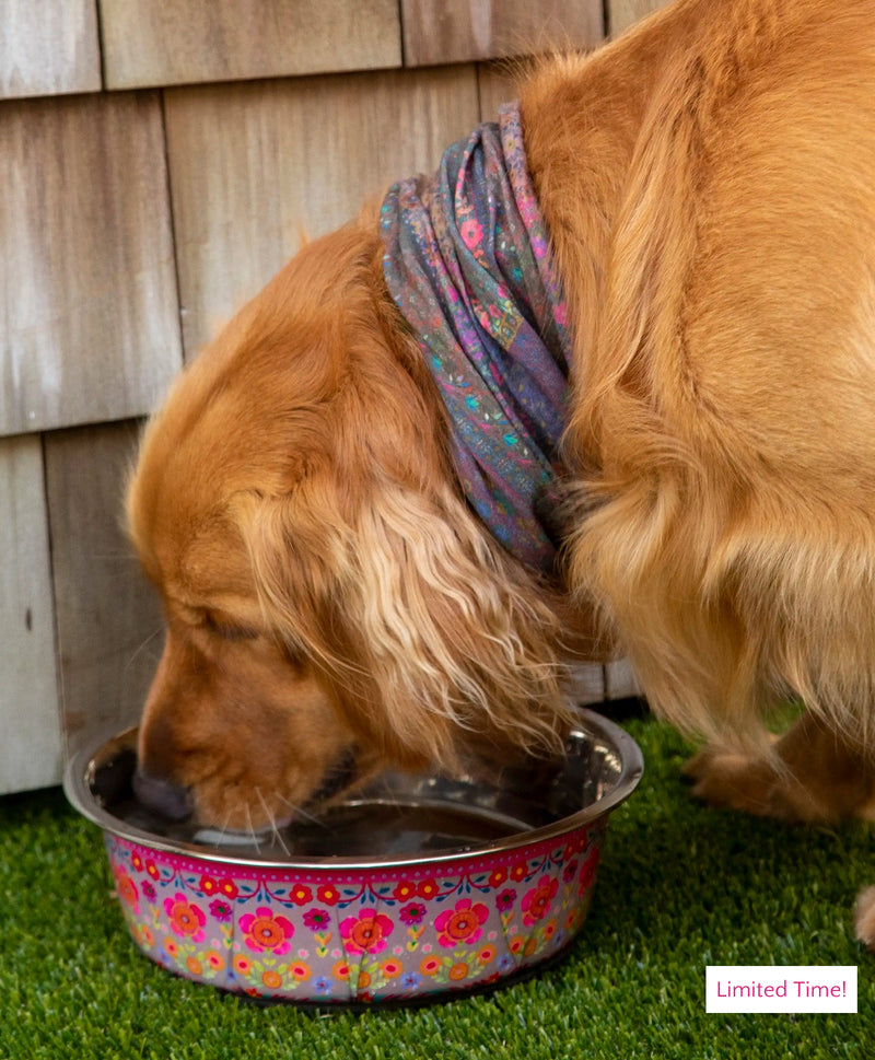 Natural Life® Stainless Steel Dog Bowls, Set of 2