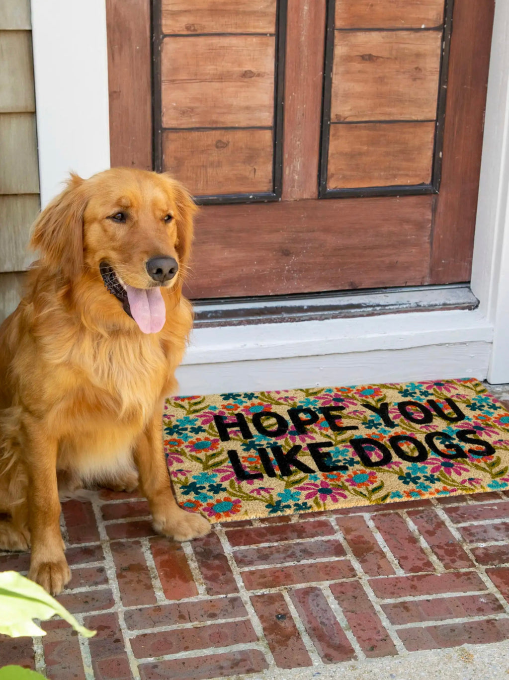 Natural Life Bungalow Doormat - Like Dogs Cream