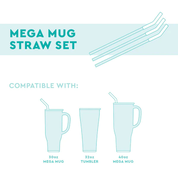 Swig Life Neon Lime/Orange/Berry Reusable Straw Set (Mega Mugs)