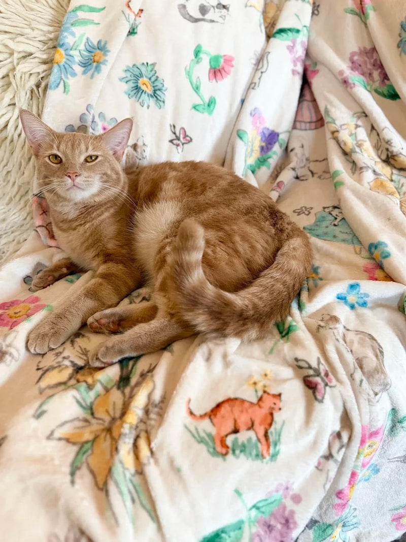 Natural Life Reversible Cozy Throw Blanket - Kitty Doodles