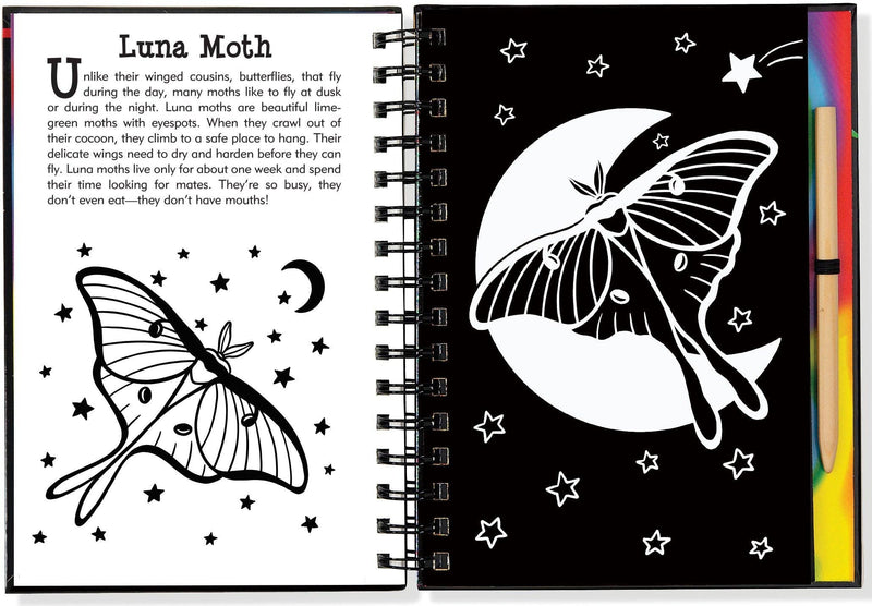 Peter Pauper Press - Scratch & Sketch™ Butterflies & Friends