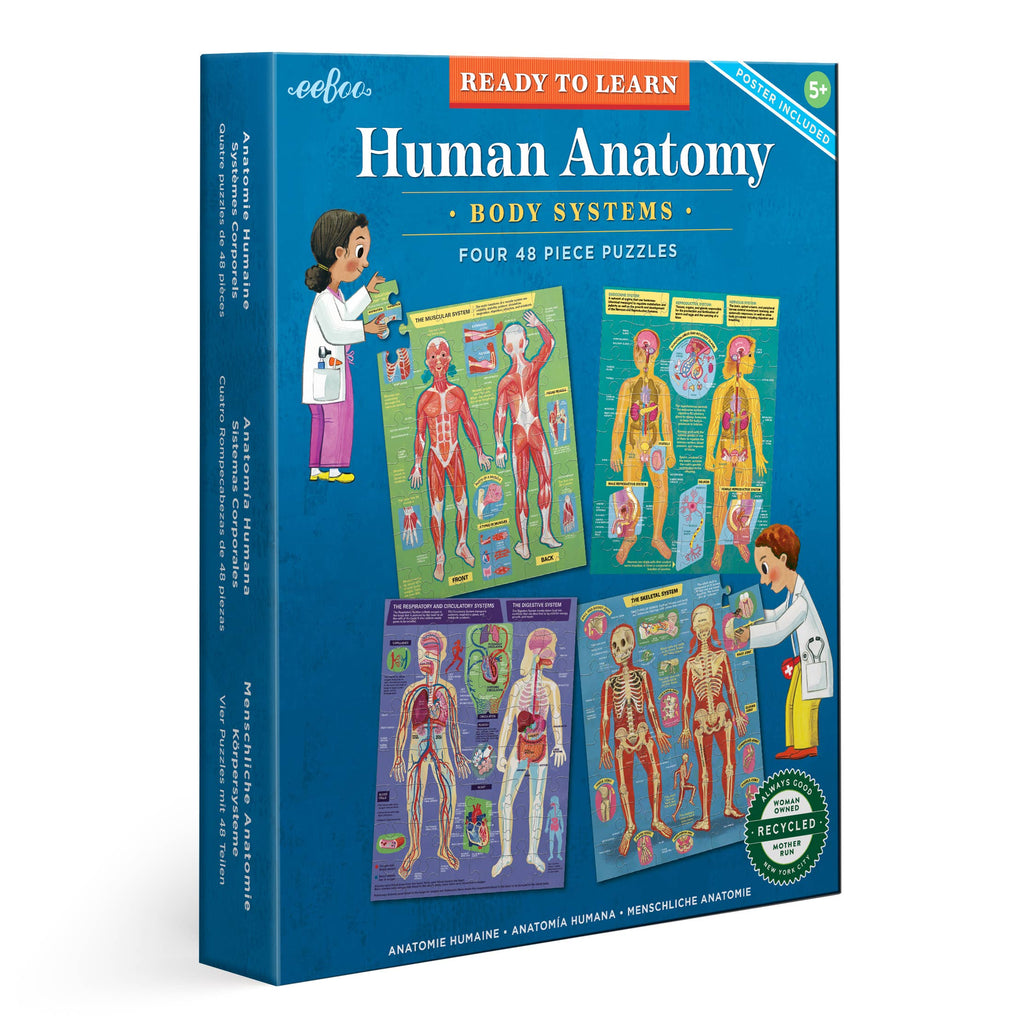 eeBoo - Ready to Learn - Human Anatomy 4 Puzzle 48 Piece Set