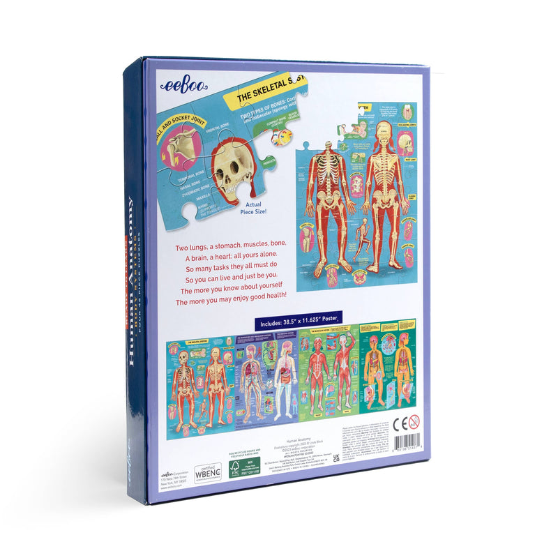 eeBoo - Ready to Learn - Human Anatomy 4 Puzzle 48 Piece Set