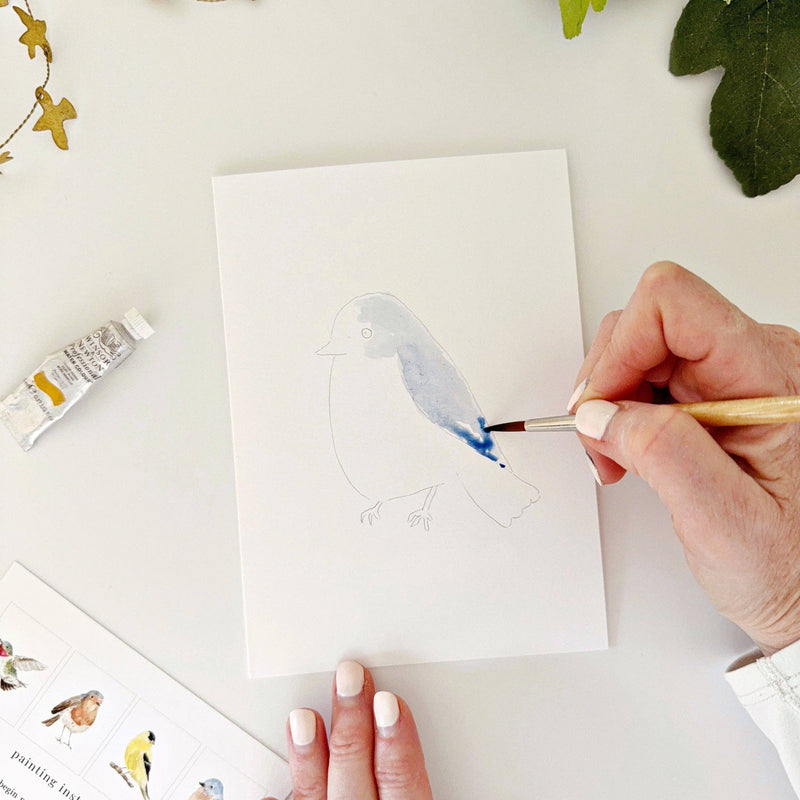 emily lex studio - Backyard birds paintable notecards
