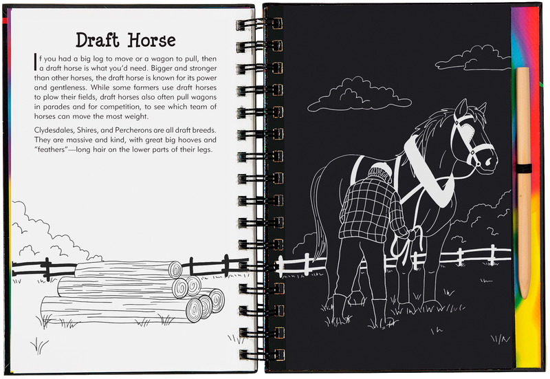 Peter Pauper Press - Scratch & Sketch™ Horses