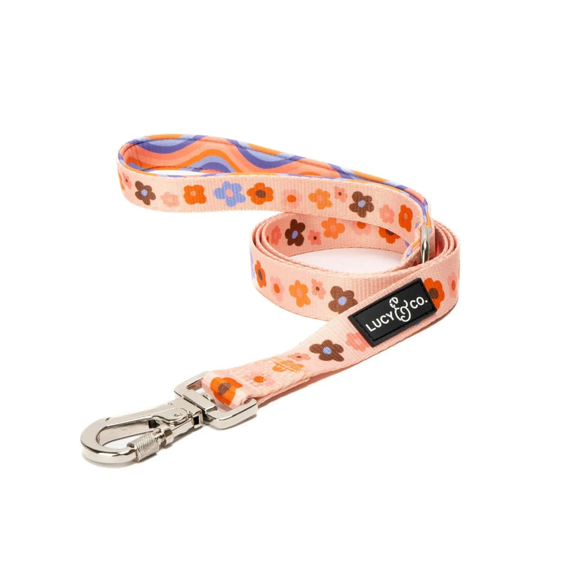 Lucy & Co. Dog Leash - The Let’s Groove Leash