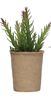 Creative Co-Op Faux Succulent in Paper Pot, 6 different Styles