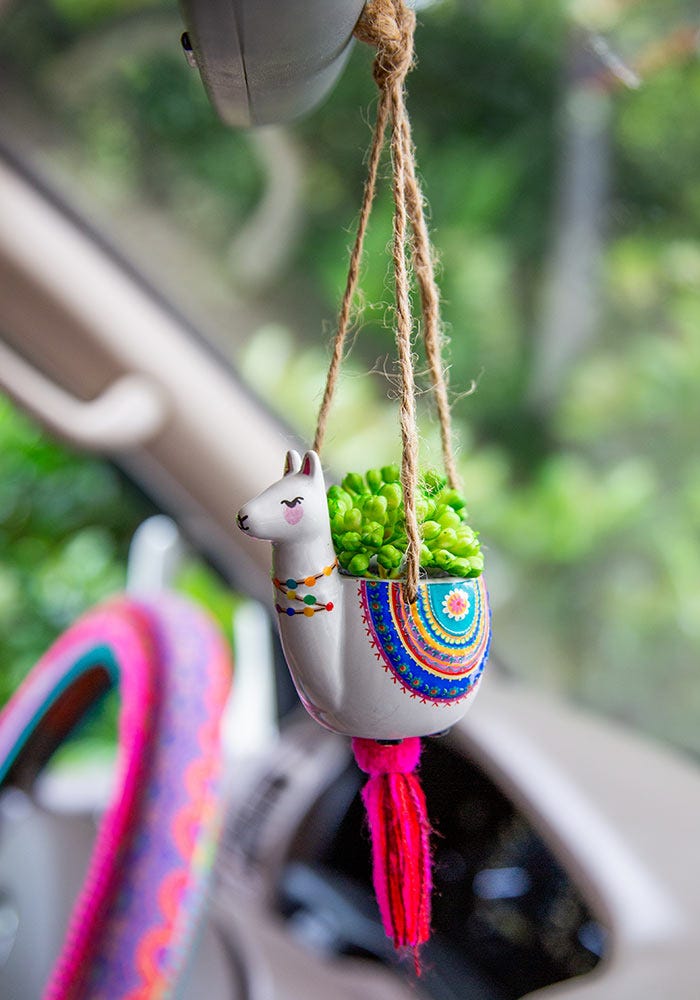 Faux succulent outlet car charm