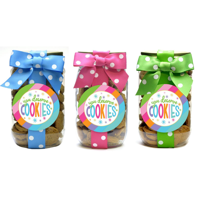Oh, Sugar! - Cookie Pint Jars - Bright Stripe You Deserve Cookies: Chocolate Chip