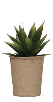 Creative Co-Op Faux Succulent in Paper Pot, 6 different Styles
