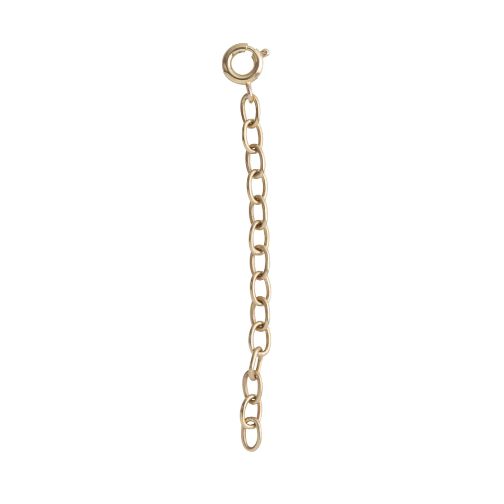 Waxing Poetic Necklace Extender 2” Brass Chain – Anne-Paige