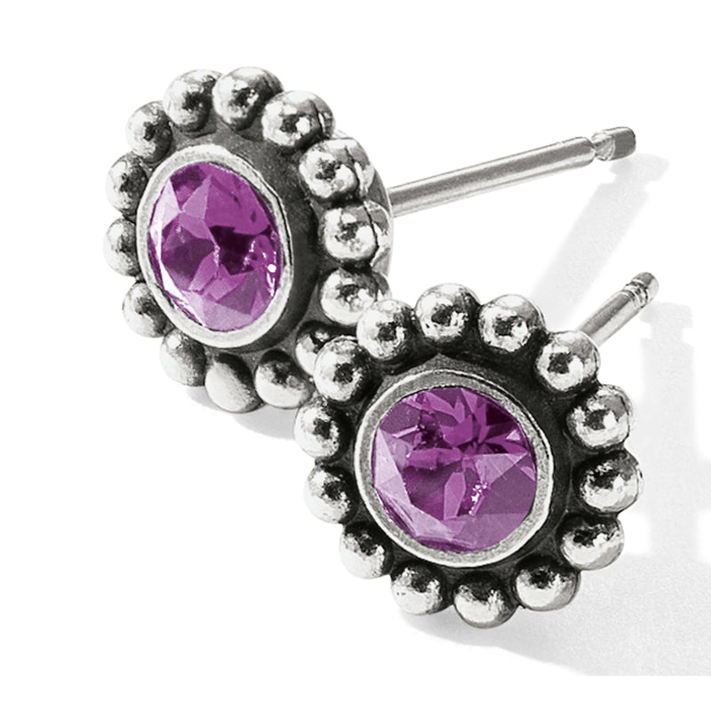 Brighton Twinkle Mini Post Birthstone Earrings - Amethyst (February)