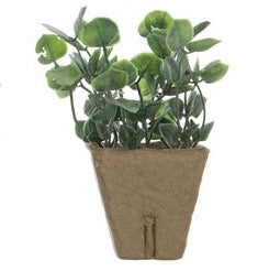 Creative Co-Op 4-3/4"H Faux Plant in Paper Pot, 6 different Styles