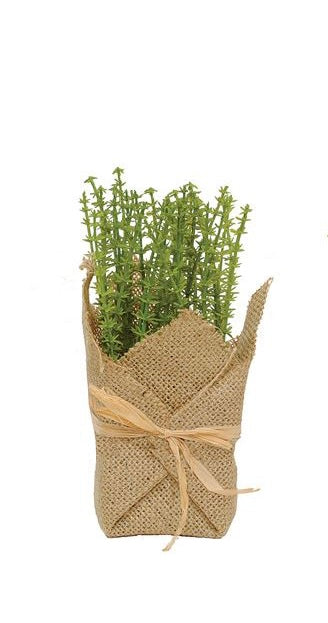 succulents wrapped in burlap Creative Co-Op Burlap Wrapped Artificial Herb Plants – Anne-Paige