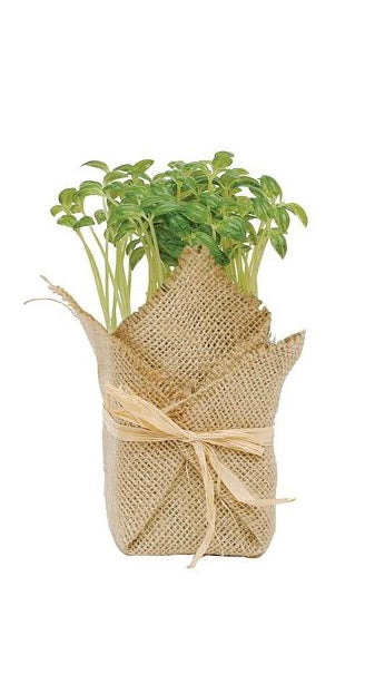 burlap wrapped potted plants Creative Co-Op Burlap Wrapped Artificial Herb Plants