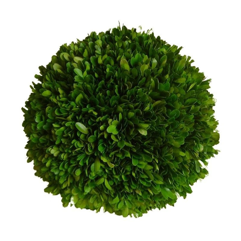 Park Hill Large Preserved Boxwood Ball 8”