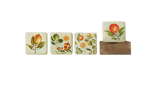 Creative Co-op Resin Citrus Coasters in Wood Holder (Set of 4 Coasters)
