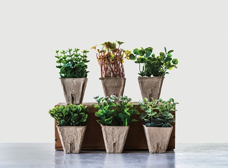 Creative Co-Op 4-3/4"H Faux Plant in Paper Pot, 6 different Styles