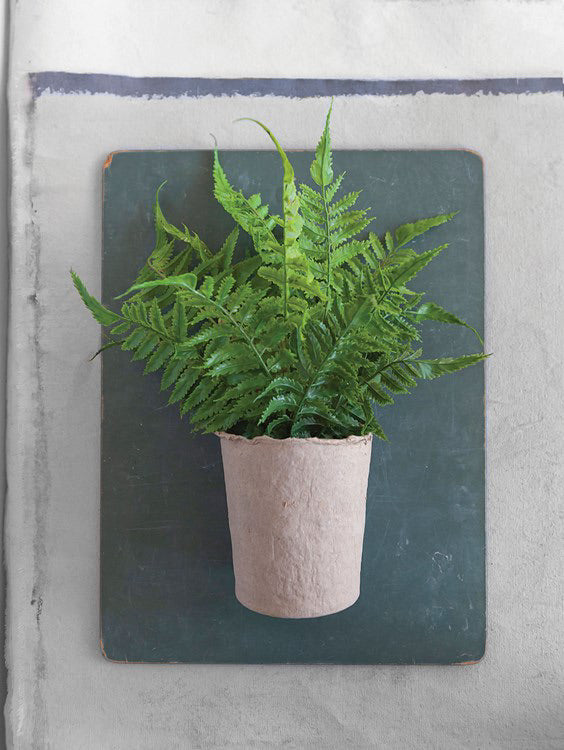 Creative Co-Op 13-1/2"H Faux Fern in Paper Pot